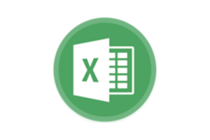 The Learning Company - Microsoft Excel
