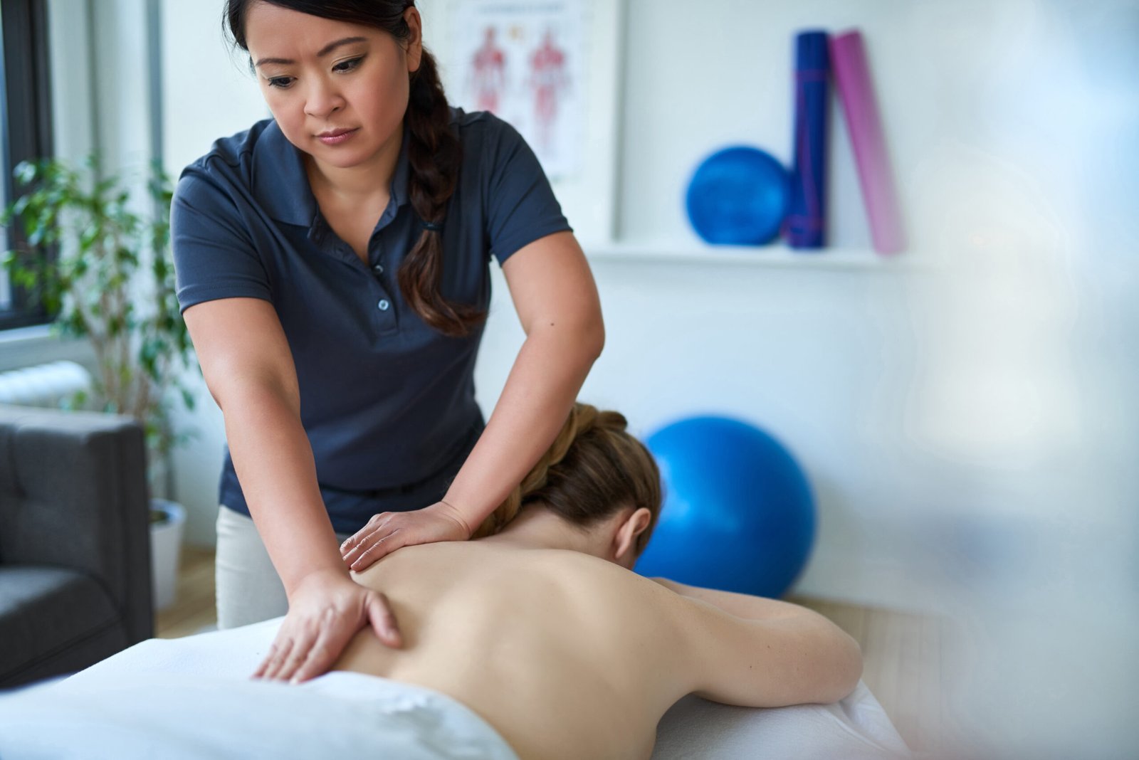 Massage Therapy - The Learning Company