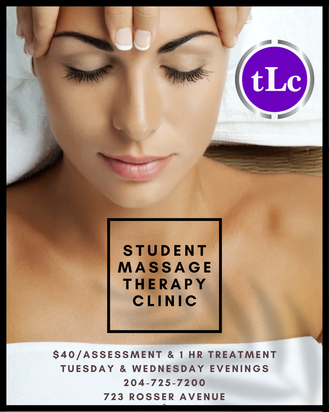 The Learning Company - Massage Therapy